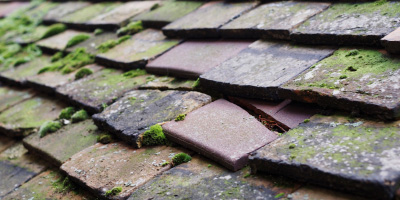 Chingford roof repair costs